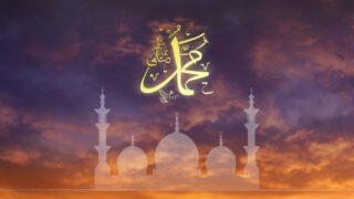صورة مقال في رحاب العدل النبوي