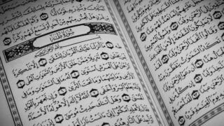 صورة مقال وقد أفلح اليوم من استعلى