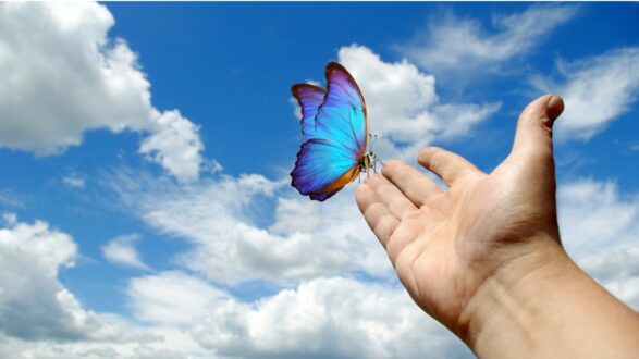 فراشة زرقاء جميلة تطير من يد إنسان في سماء زرقاء مع سحب بيضاء. تعبر الصورة عن الحرية والجمال الطبيعي.