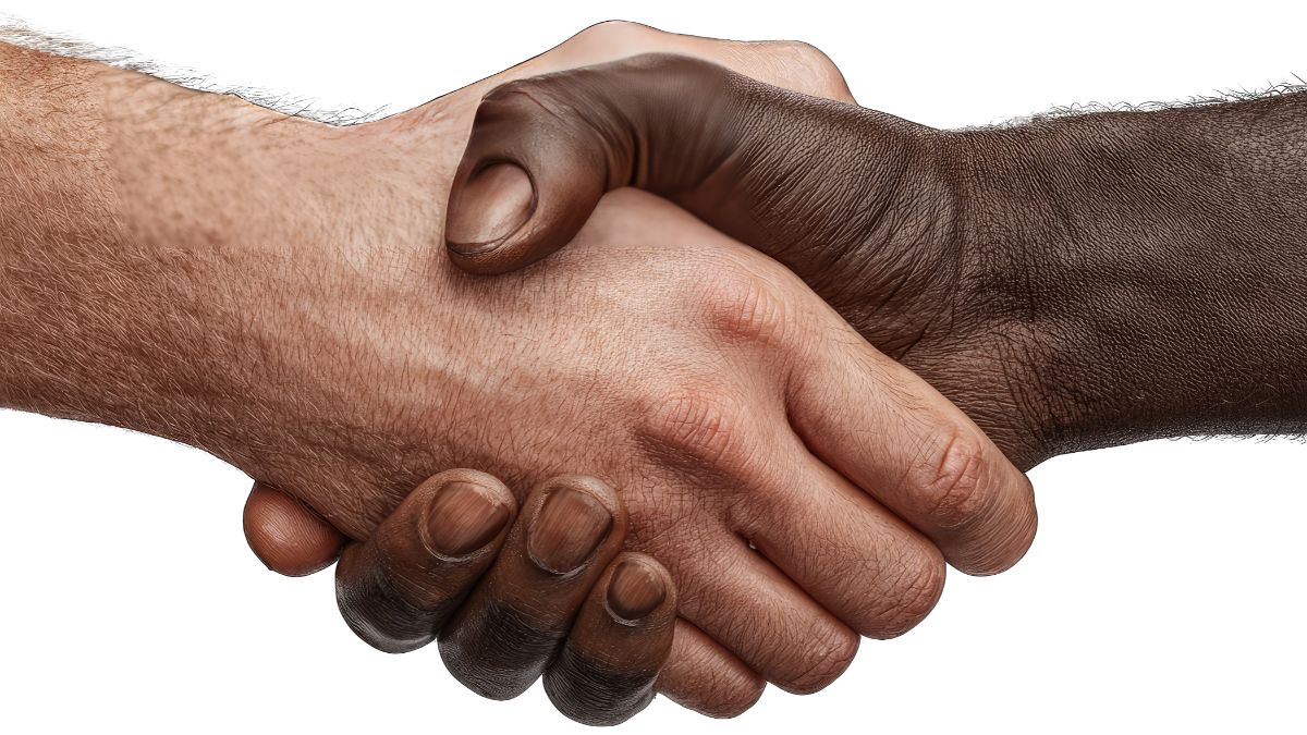 الشيخ ياسر سلمى: الحرية الدينية حق مكفول للجميع