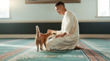 A person in a light-colored robe interacts with a friendly orange cat on a patterned carpet in a well-lit room. The scene captures a moment of connection between the individual and the pet, highlighting warmth and companionship.