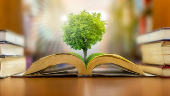 اليوم الدولي للتعليم 2026 .. نحو عالم عادل رقمي وإنساني