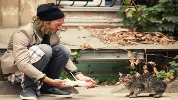 رجل يجلس على الرصيف ويقدم الطعام لقطط في شارع محاط بالنباتات الجافة. يعبر المشهد عن الرحمة تجاه الحيوانات.