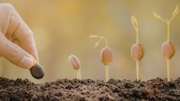 يد تظهر وهي تضع بذورًا في التربة، مع نمو براعم صغيرة بجوارها. تمثل الصورة عملية الزراعة والنمو، مما يعكس أهمية الزراعة المستدامة.