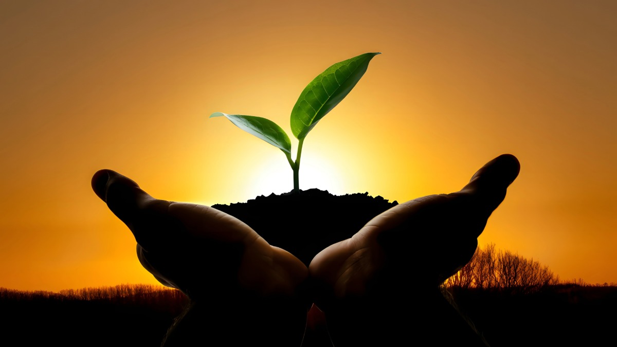 لماذا هي فريضة شرعية وضرورة بشرية؟