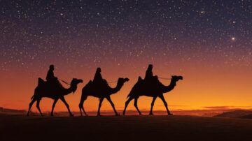 جمال الصحراء في غروب الشمس مع silhouettes لجمال تحمل ركابها. السماء مرصعة بالنجوم والألوان الدافئة تخلق مشهداً ساحراً. تجربة ثقافية فريدة في بيئة صحراوية.