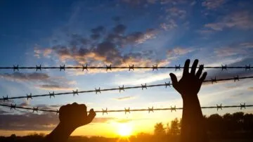 أيدي مرفوعة خلف سياج من الأسلاك الشائكة تحت سماء ملونة بألوان الغروب، مع شمس تشرق في الأفق. تعبير عن الأمل والحرية.