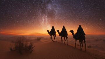 جمال الصحراء عند الغسق