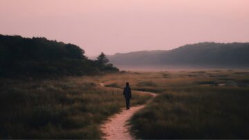 A person looking at a peaceful landscape, representing the Islamic concept of contentment