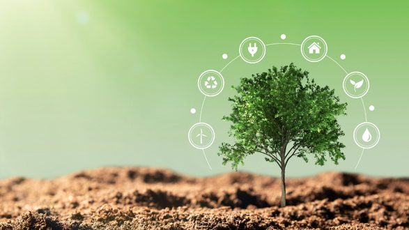 شجرة خضراء تنمو من التربة، محاطة برموز تدل على الطاقة المتجددة، إعادة التدوير، والمياه، مع خلفية خضراء تعكس الاستدامة.